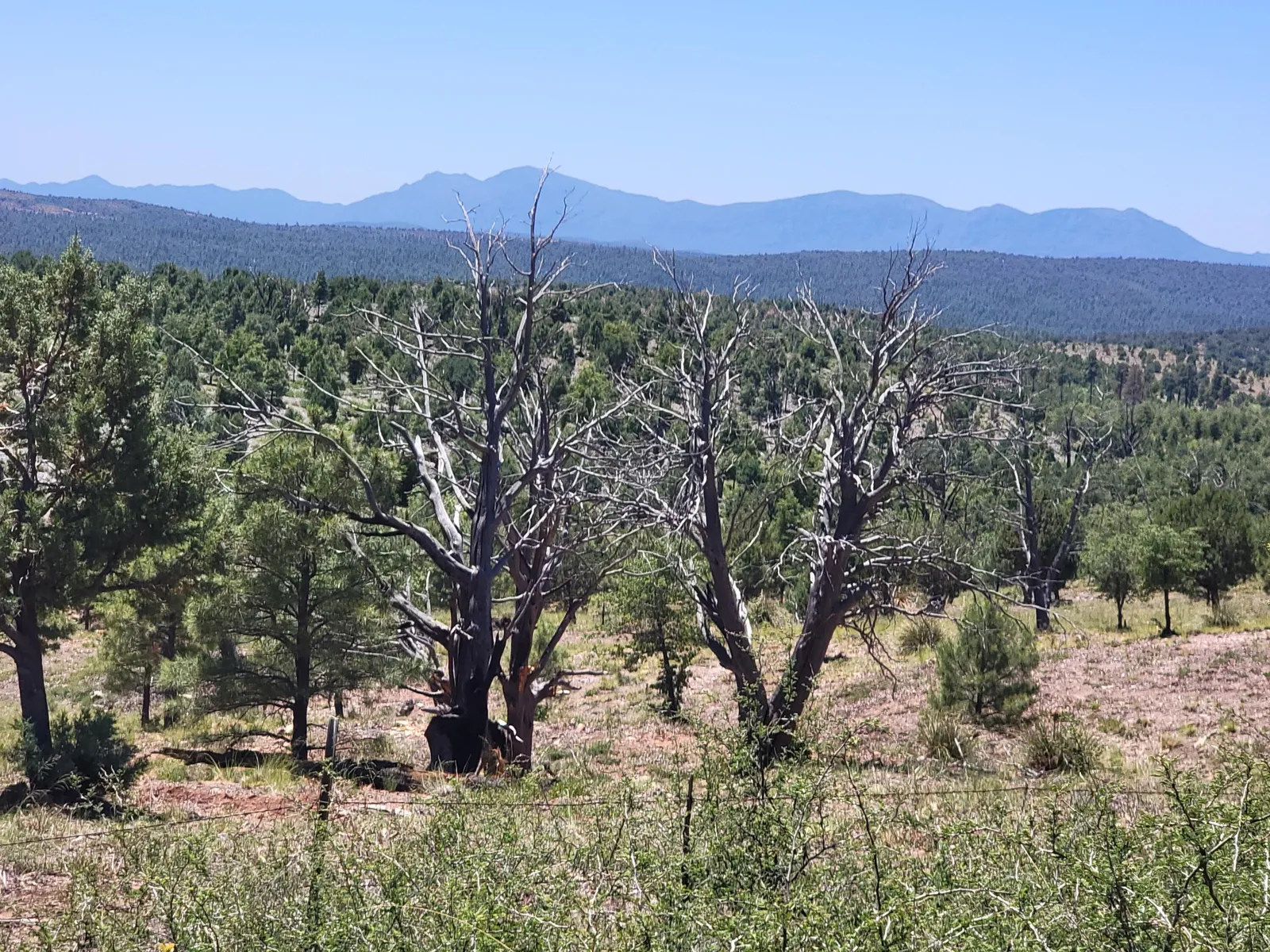 41 & 42 Antelope Trail, Payson, AZ 85541 — Photo 1 of 19