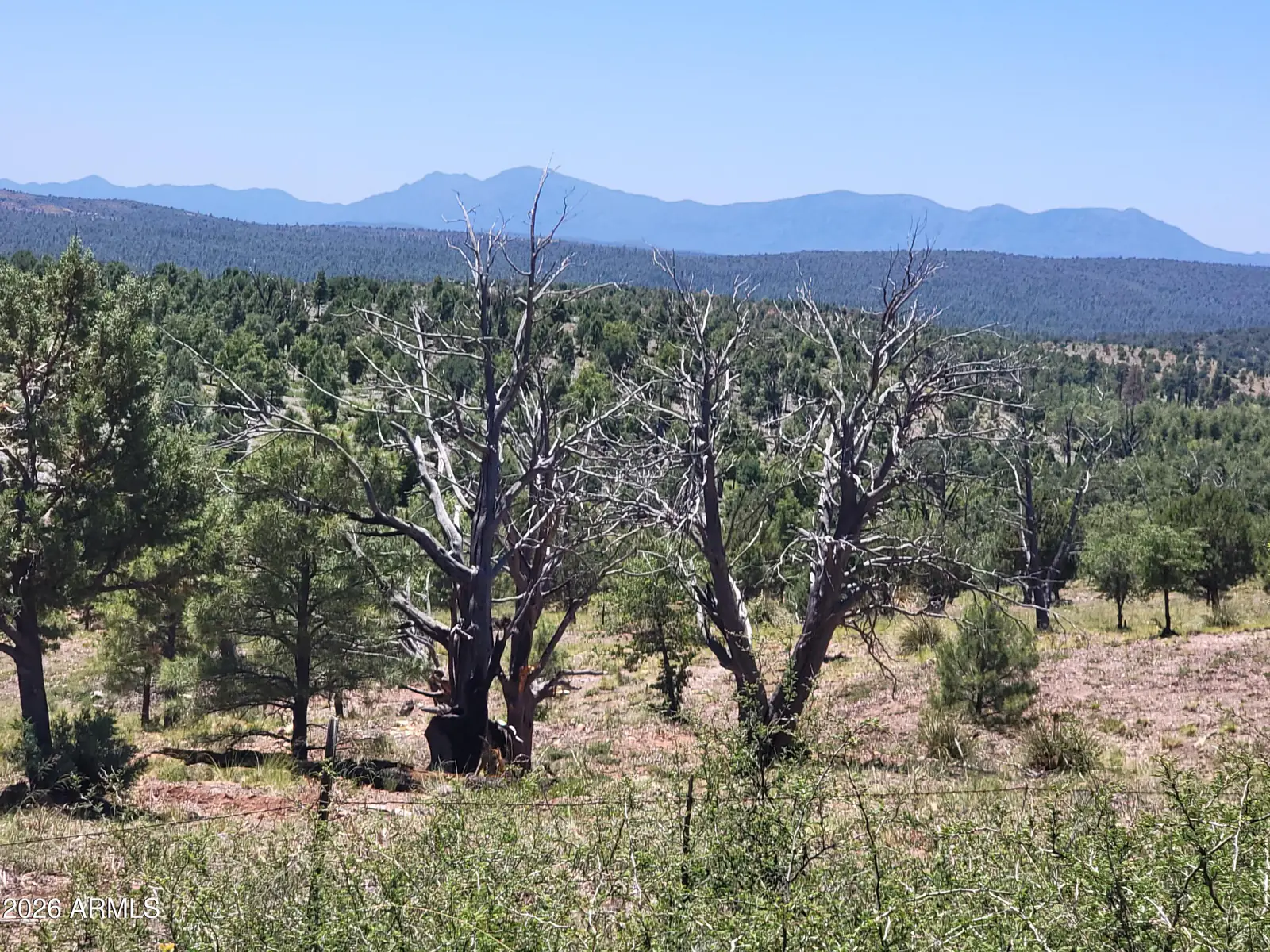 41 & 42 Antelope Trail 41 & 42, Payson, AZ 85541 — Photo 1 of 19