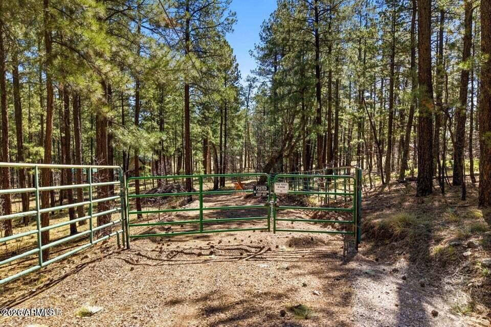 11 COUNTY ROAD 2135 n/a, Alpine, AZ 85920 — Photo 1 of 17