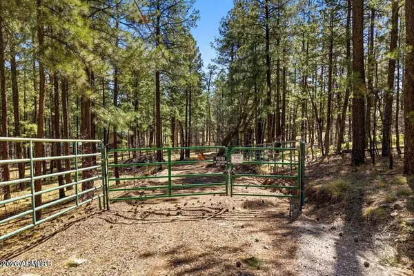 11 COUNTY ROAD 2135 n/a, Alpine, AZ 85920