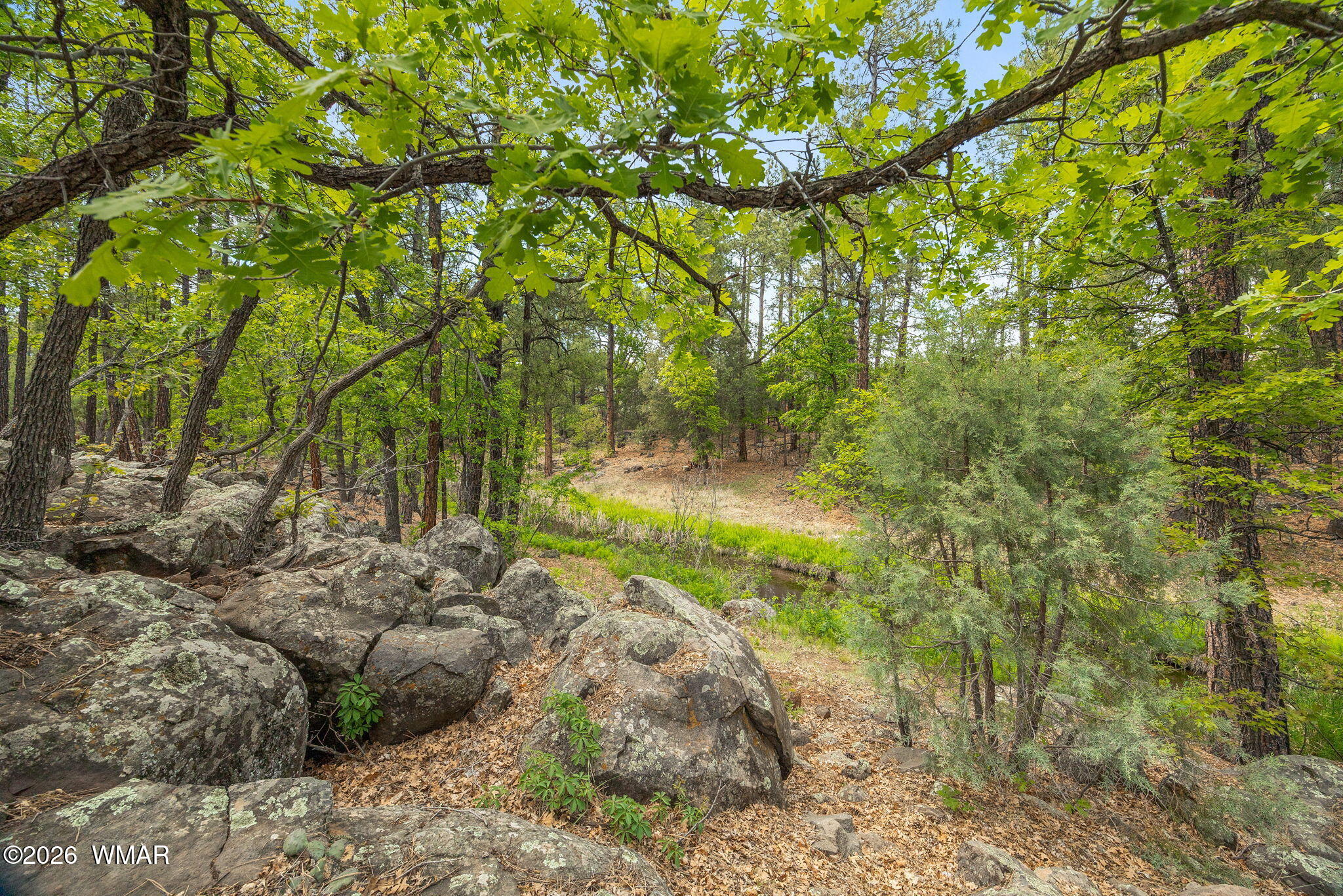1358 W Big Springs Trail, Lakeside, AZ 85929 — Photo 1 of 35