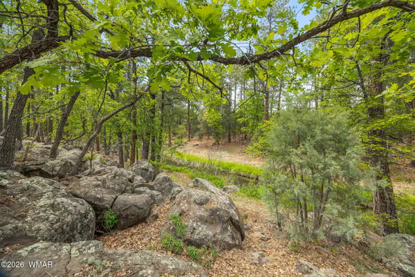 1358 W Big Springs Trail, Lakeside, AZ 85929