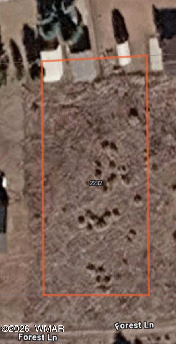 2232 Forest Lane, Overgaard, AZ 85933