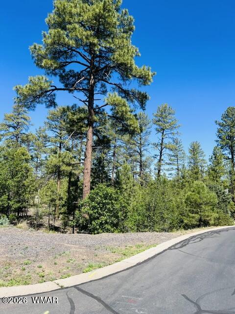1900 S Silvertree Lane, Show Low, AZ 85901