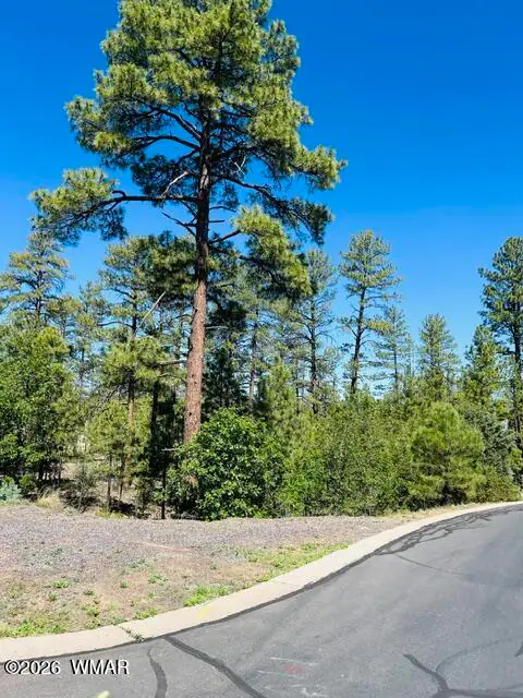 1900 S Silvertree Lane, Show Low, AZ 85901