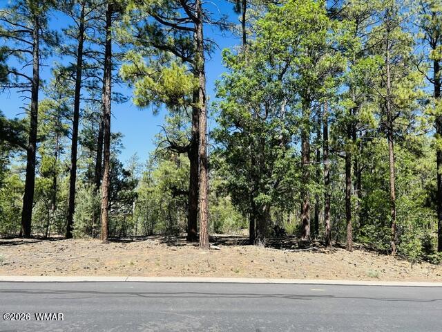 1771 W Snow Creek Loop, Show Low, AZ 85901 — Photo 1 of 4