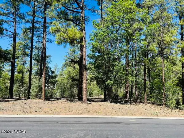 1771 W Snow Creek Loop, Show Low, AZ 85901