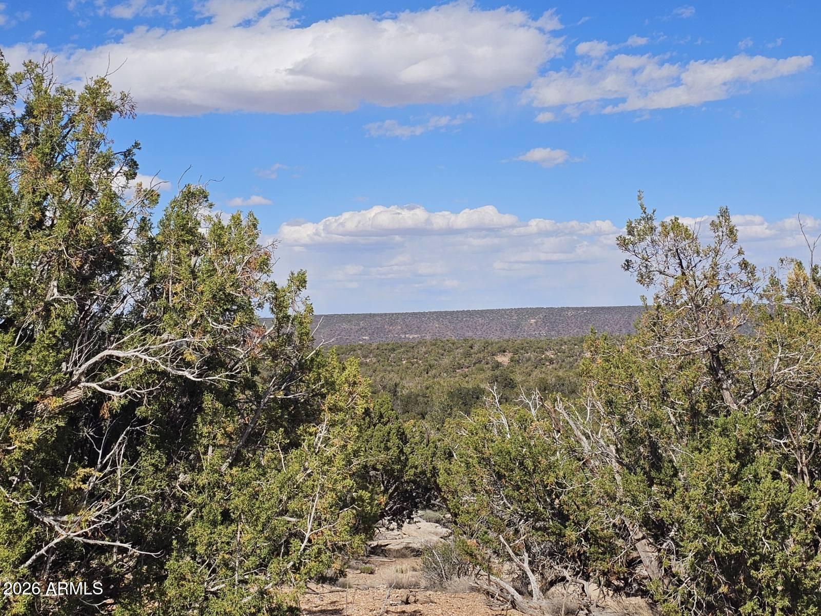 3945 VALLEY Road 749, Snowflake, AZ 85937 — Photo 1 of 9