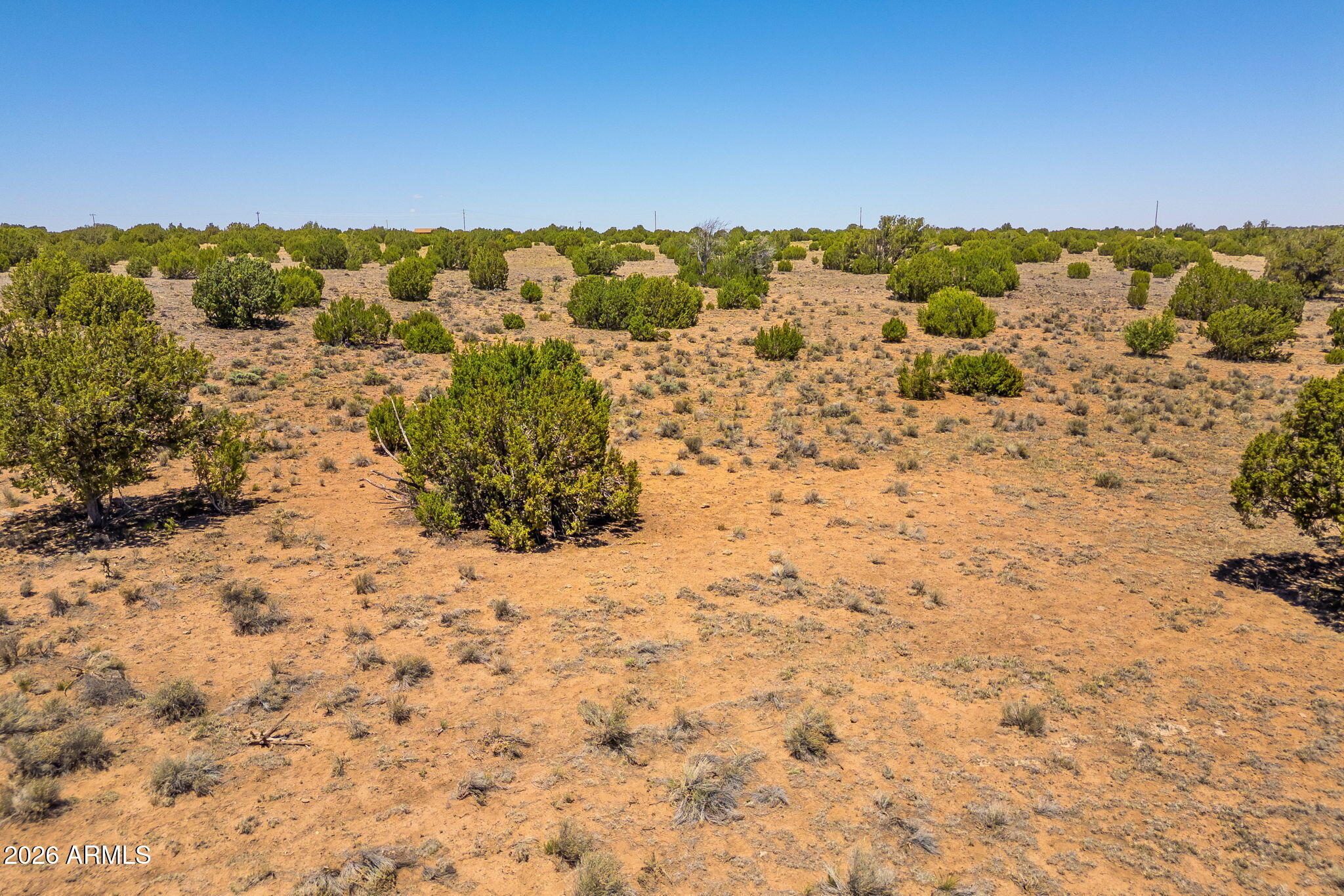 TBD County Road 8643 188, Concho, AZ 85924 — Photo 1 of 19