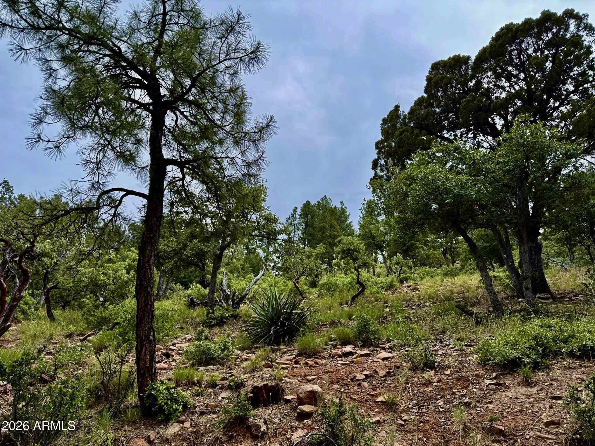161 N Portal Drive 161, Pine, AZ 85544 — Photo 1 of 36
