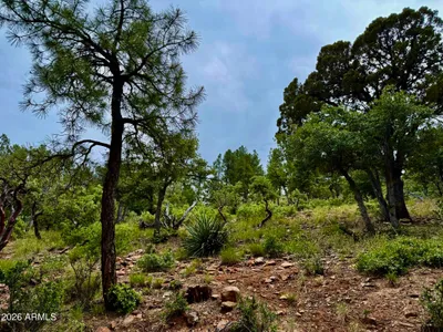 161 N Portal Drive 161, Pine, AZ 85544