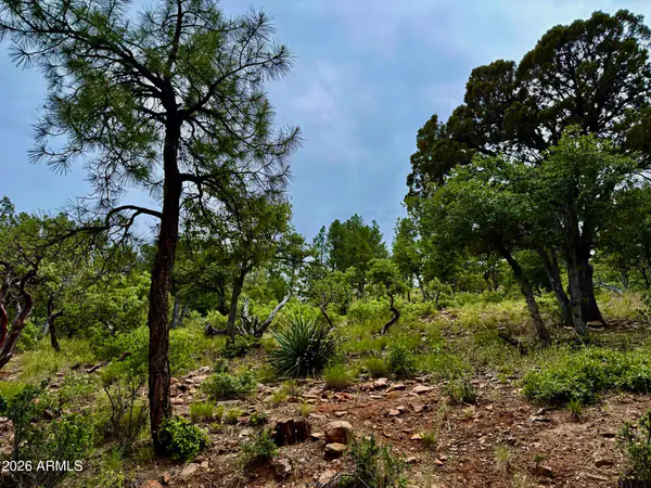 161 N Portal Drive 161, Pine, AZ 85544