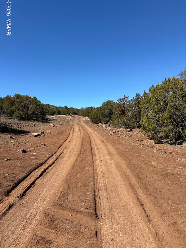 15,17,21 Pine (CR8100) Drive, Concho, AZ 85924