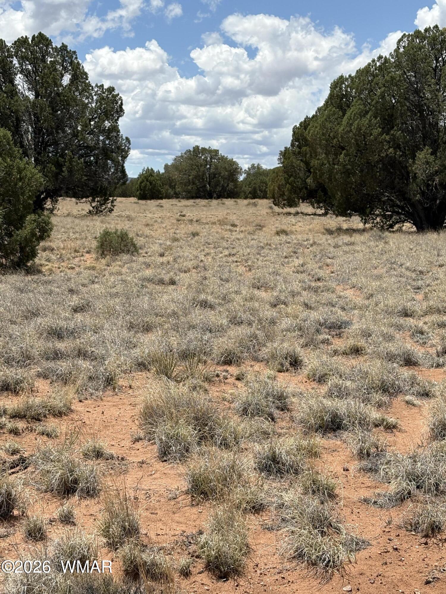 15 Pine Drive, Concho, AZ 85924 — Photo 1 of 3