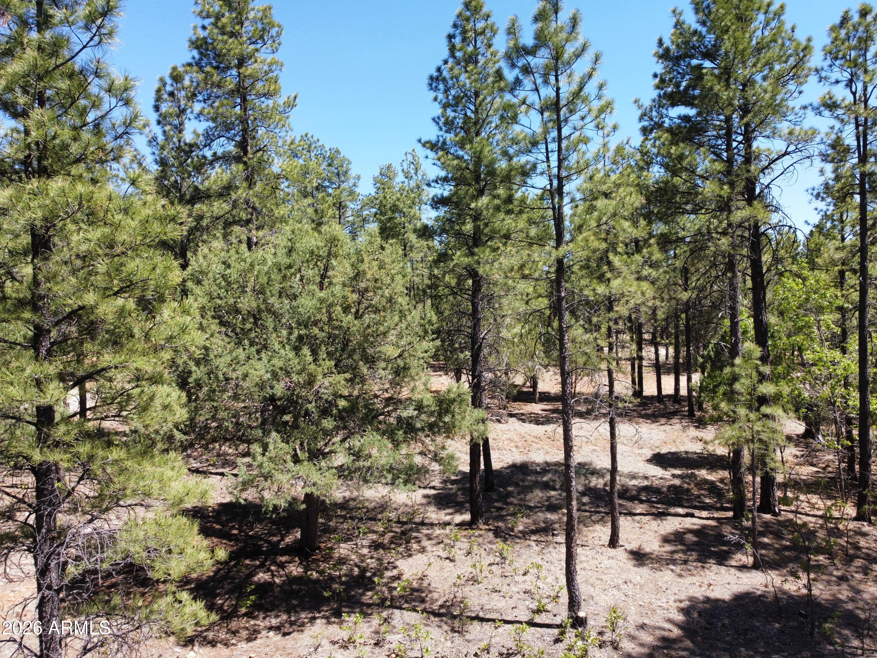 4450 BLACKFOOT Circle 415, Happy Jack, AZ 86024 — Photo 1 of 12