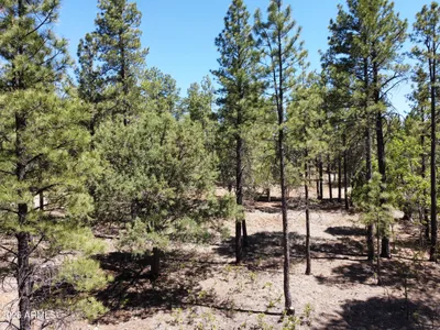 4450 BLACKFOOT Circle 415, Happy Jack, AZ 86024