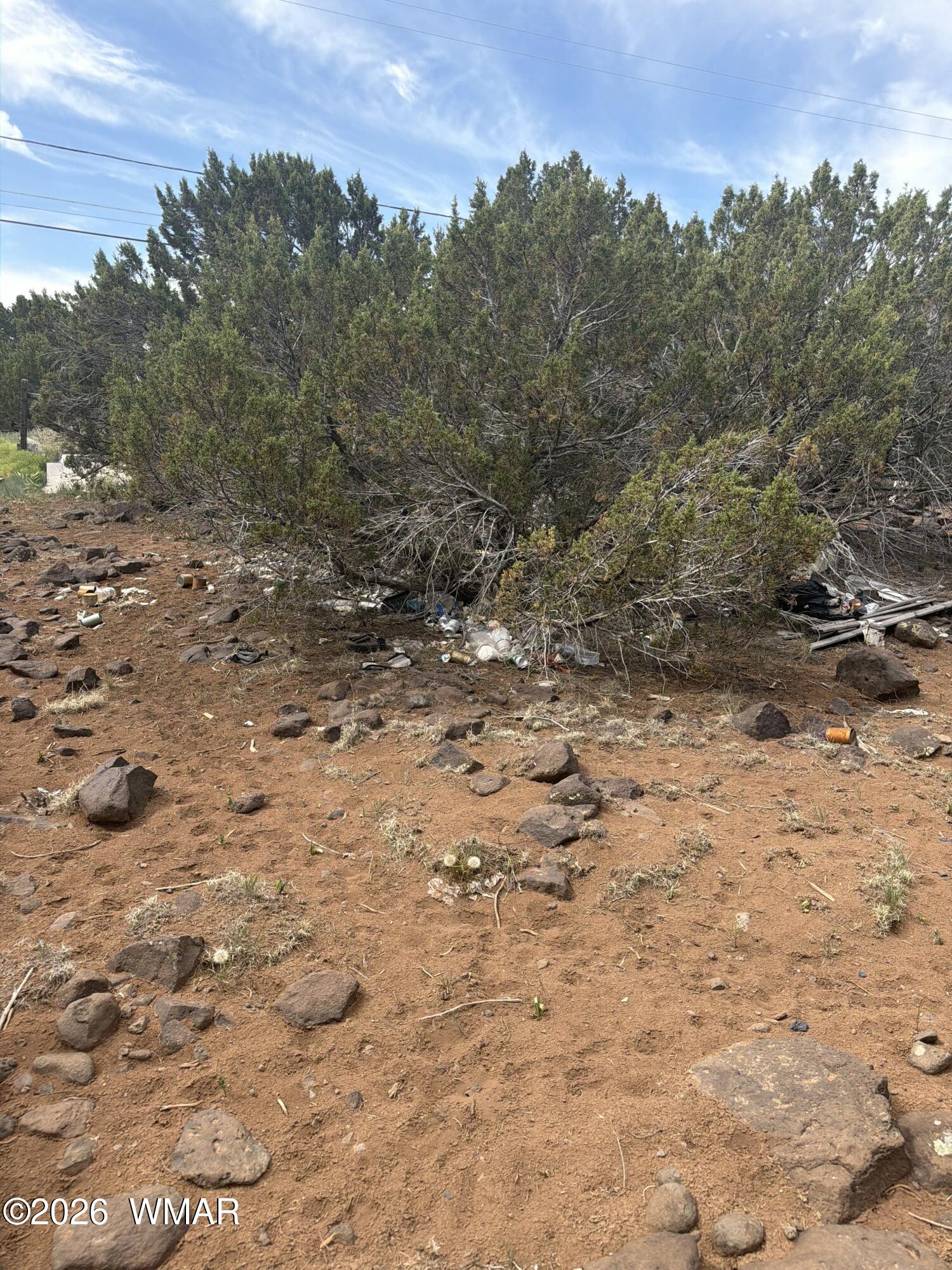 8549 Antelope Drive, Show Low, AZ 85901 — Photo 1 of 5