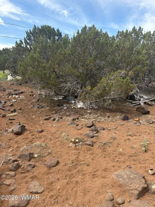 8549 Antelope Drive, Show Low, AZ 85901