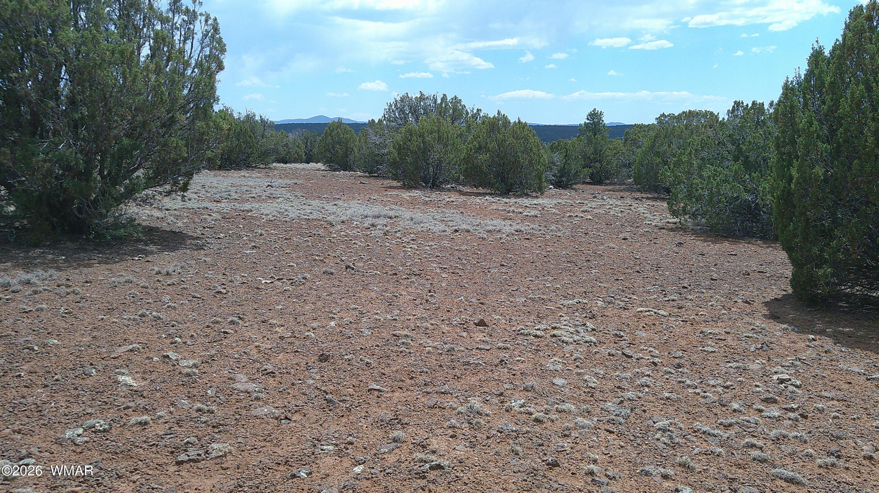 74 Co Road, # 8056, Concho, AZ 85924 — Photo 1 of 11