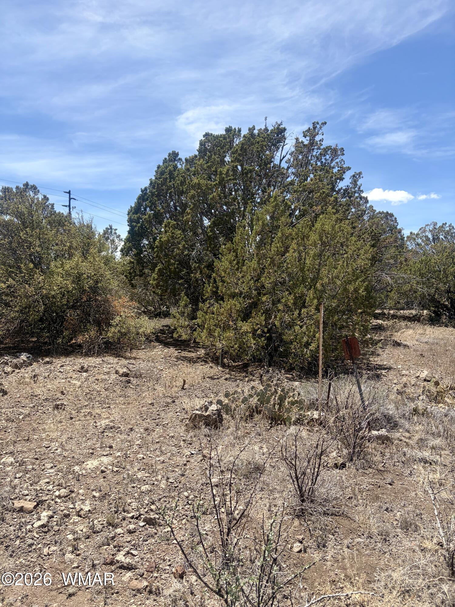 8301 Ridge Drive, Show Low, AZ 85901 — Photo 1 of 16