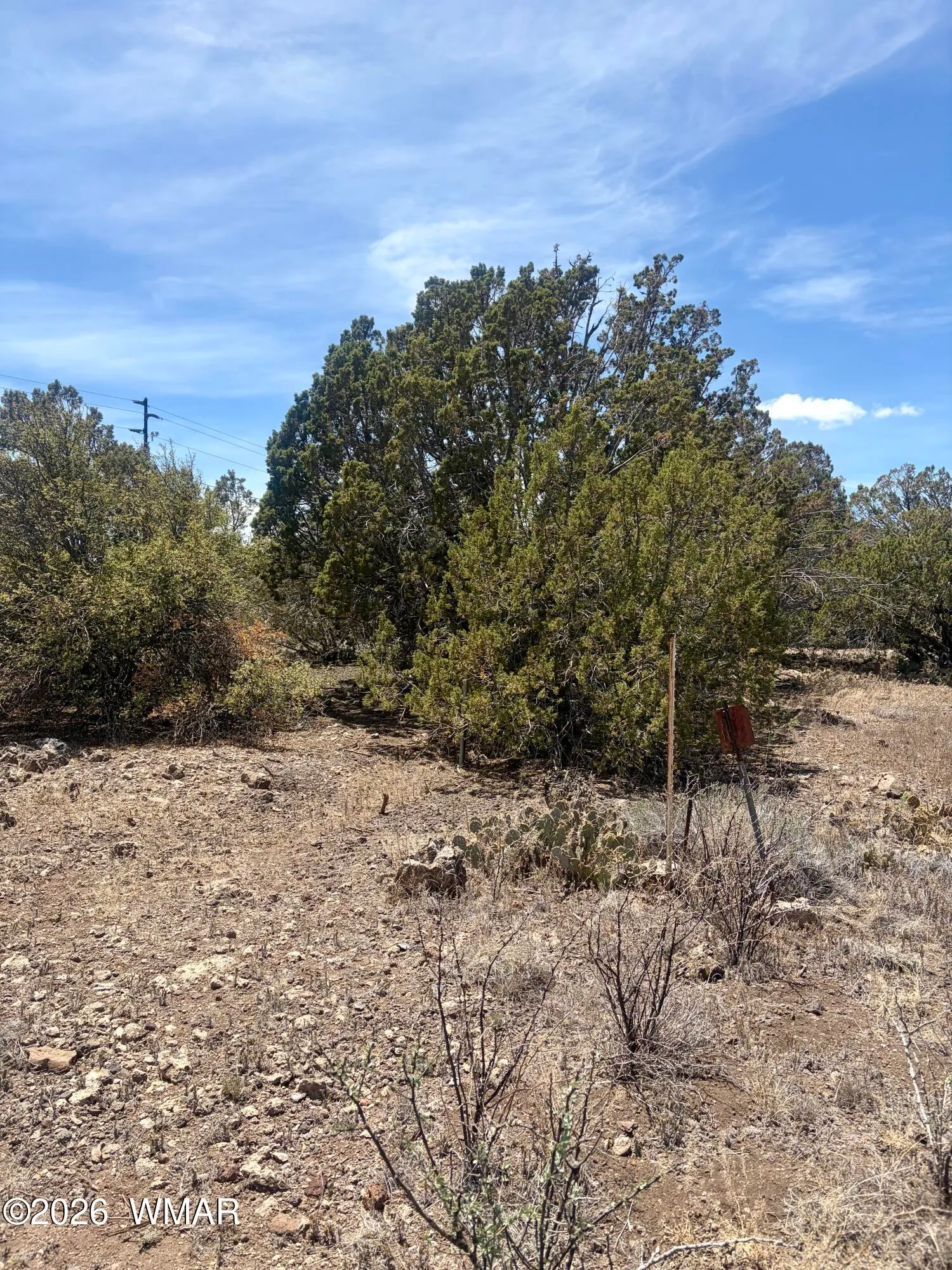 8301 Ridge Drive, Show Low, AZ 85901 — Photo 1 of 16