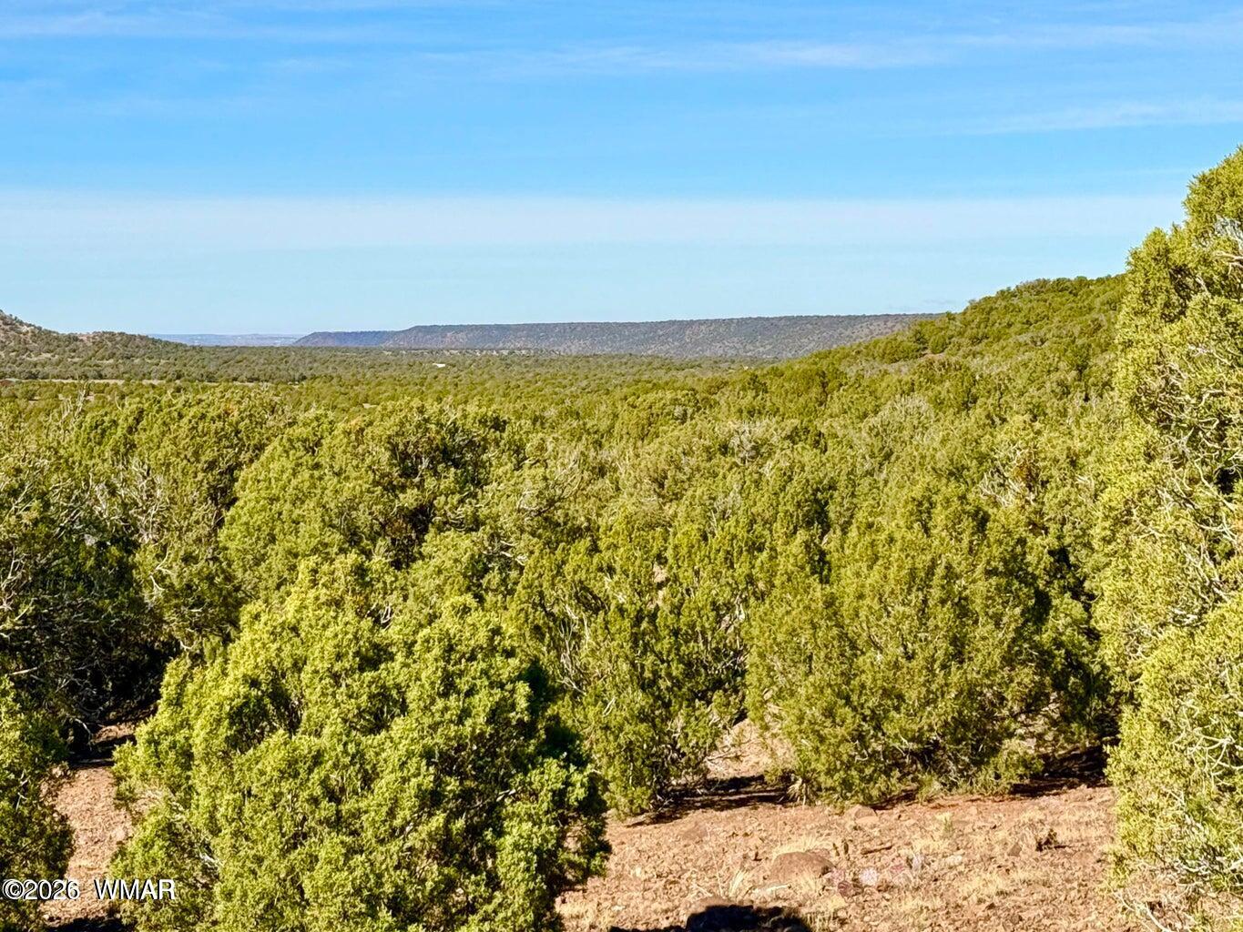 TBD Kirkwood Dr 20 Acres, Concho, AZ 85924 — Photo 1 of 24