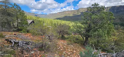 5059 N Hilltop Drive, Pine, AZ 85544