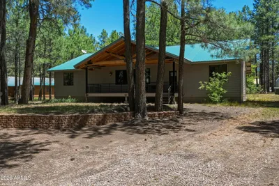 1233 Merzville Road, Forest Lakes, AZ 85931