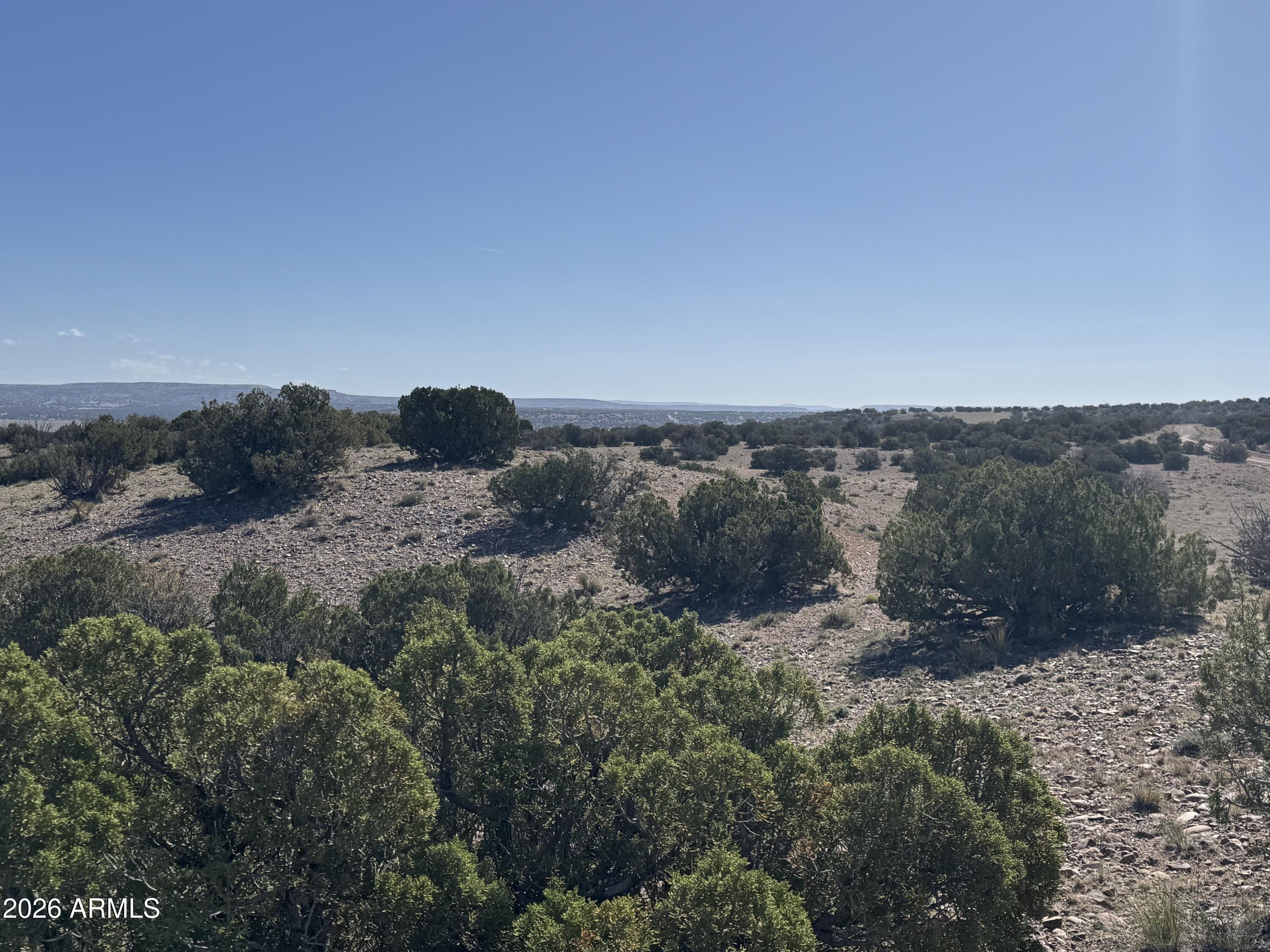 Lot 901 Woodland Valley Ranch 901, St Johns, AZ 85936 — Photo 1 of 23