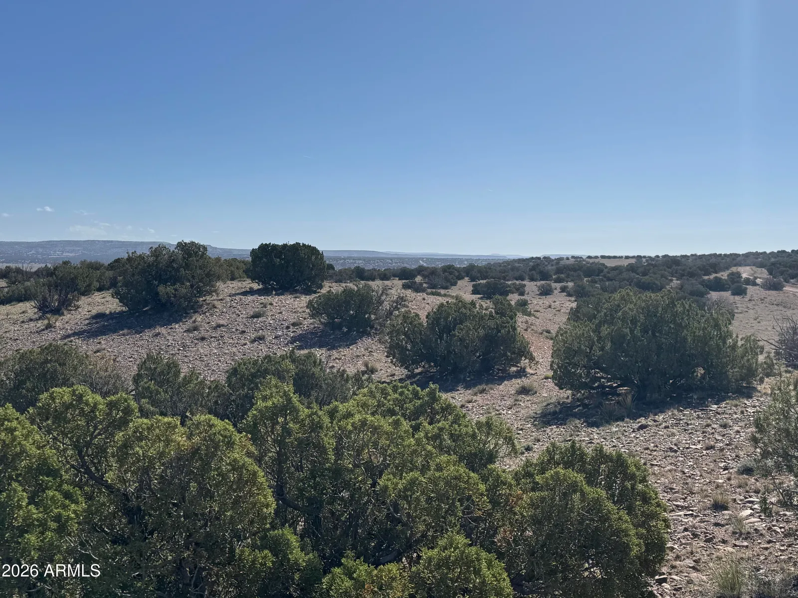 Lot 901 Woodland Valley Ranch 901, St Johns, AZ 85936 — Photo 1 of 23