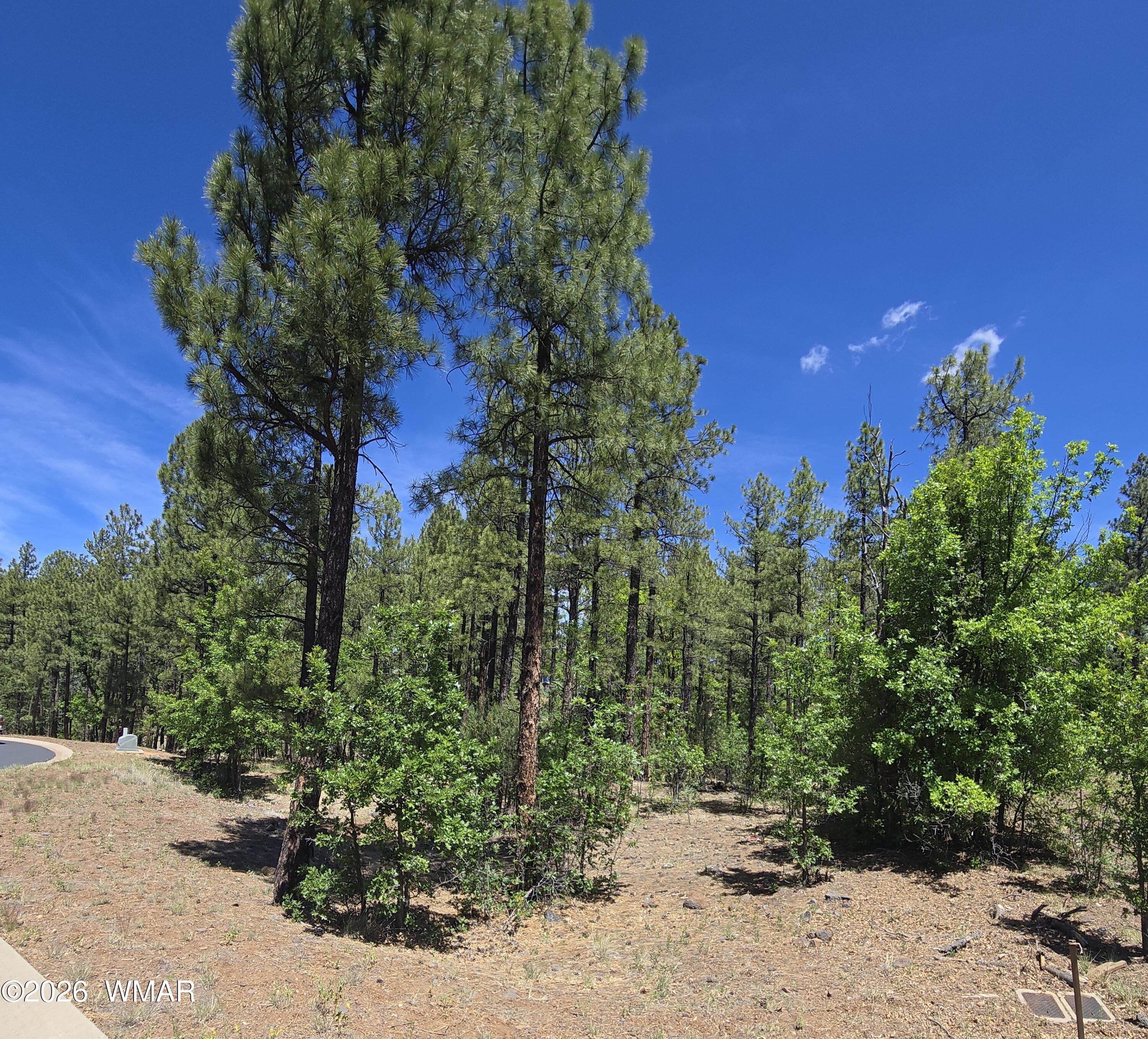 1412 Big Springs Trail, Lakeside, AZ 85929 — Photo 1 of 19