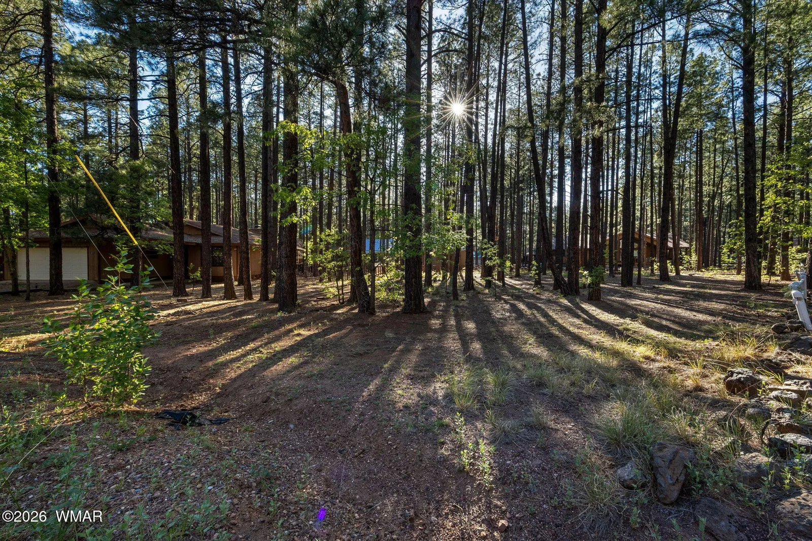 8510 Alchesay Drive, Pinetop, AZ 85935 — Photo 1 of 10