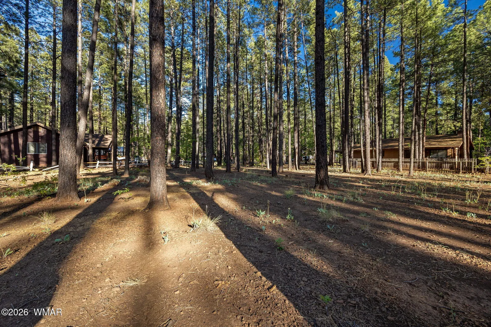 8510 Alchesay Drive, Pinetop, AZ 85935 — Photo 1 of 10