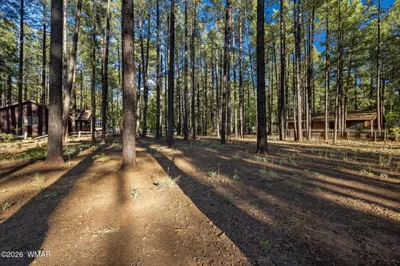 8510 Alchesay Drive, Pinetop, AZ 85935