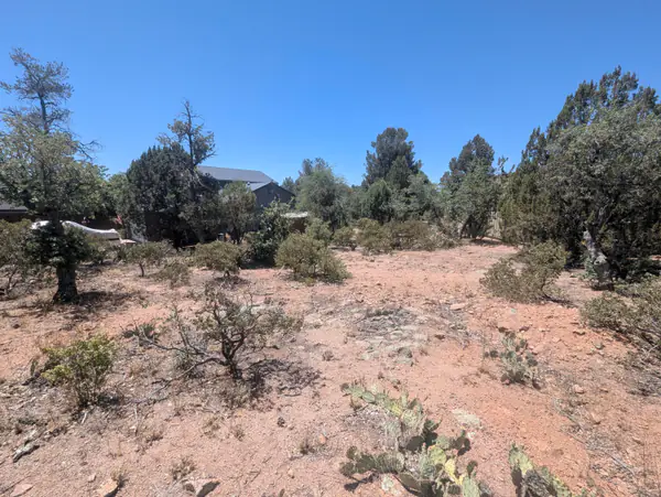 822 W Pinto Circle, Payson, AZ 85541