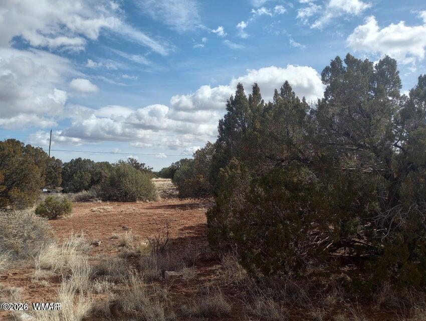 3958 Apache Road, Snowflake, AZ 85937 — Photo 1 of 6