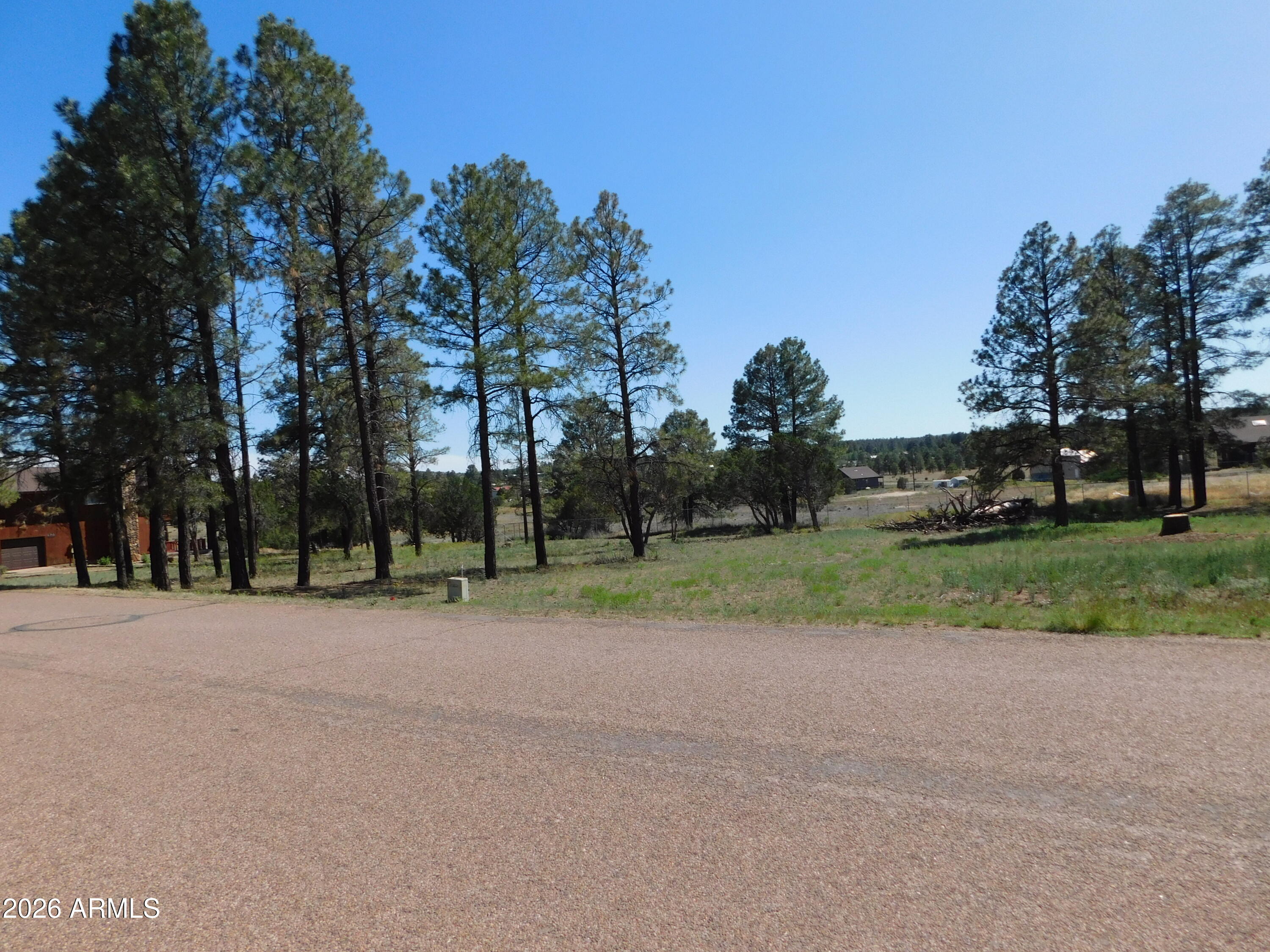 2215 Country Club Drive, Overgaard, AZ 85933 — Photo 1 of 6
