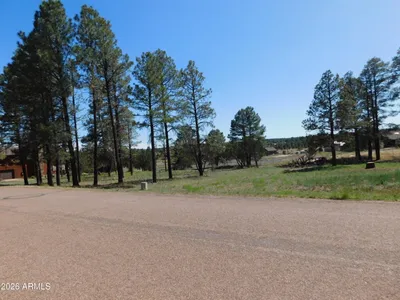 2215 Country Club Drive, Overgaard, AZ 85933