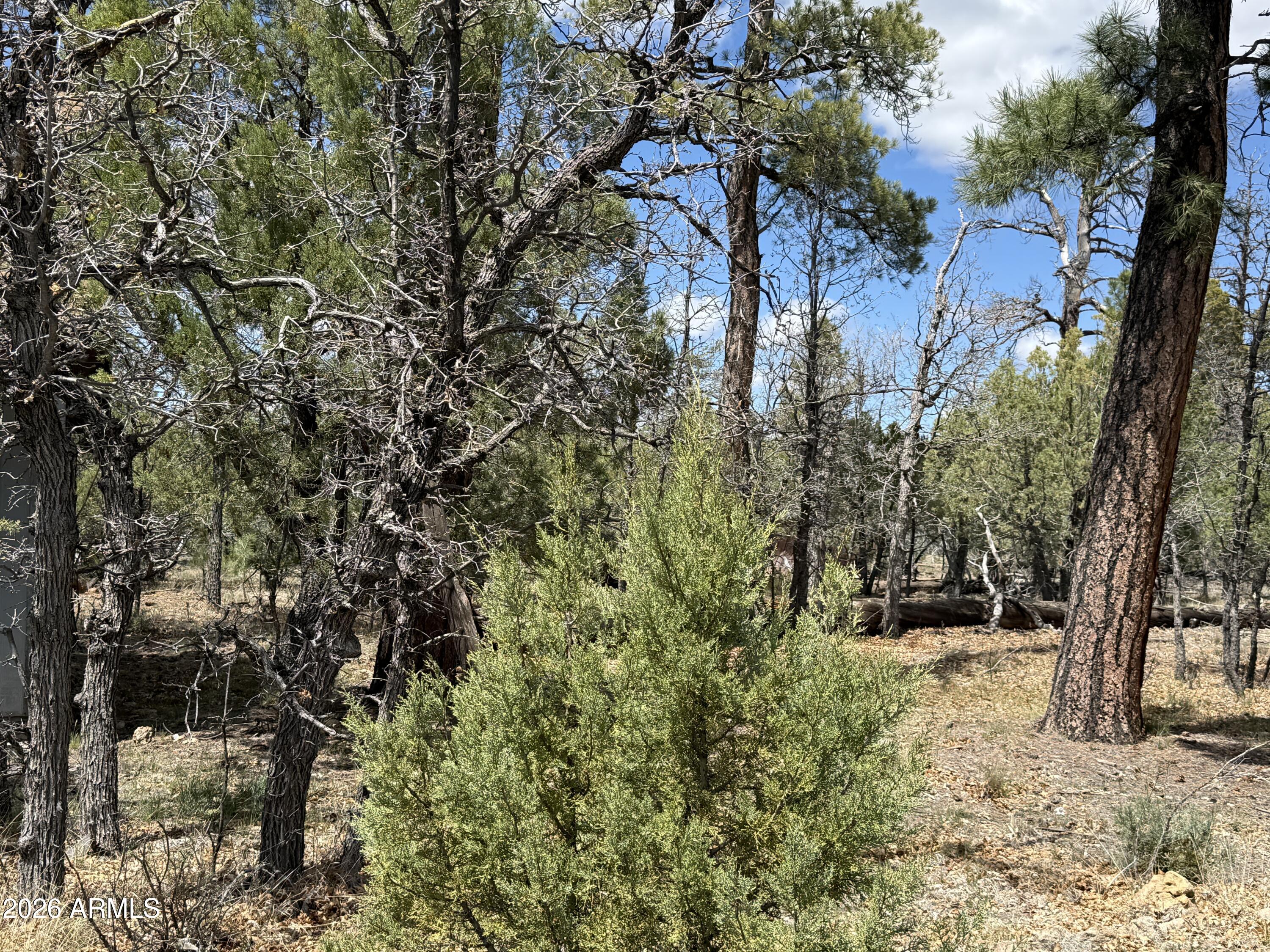 1226 GREEN RIDGE Drive 80, Happy Jack, AZ 86024 — Photo 1 of 7