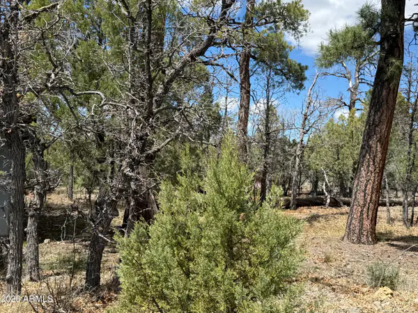 1226 GREEN RIDGE Drive 80, Happy Jack, AZ 86024