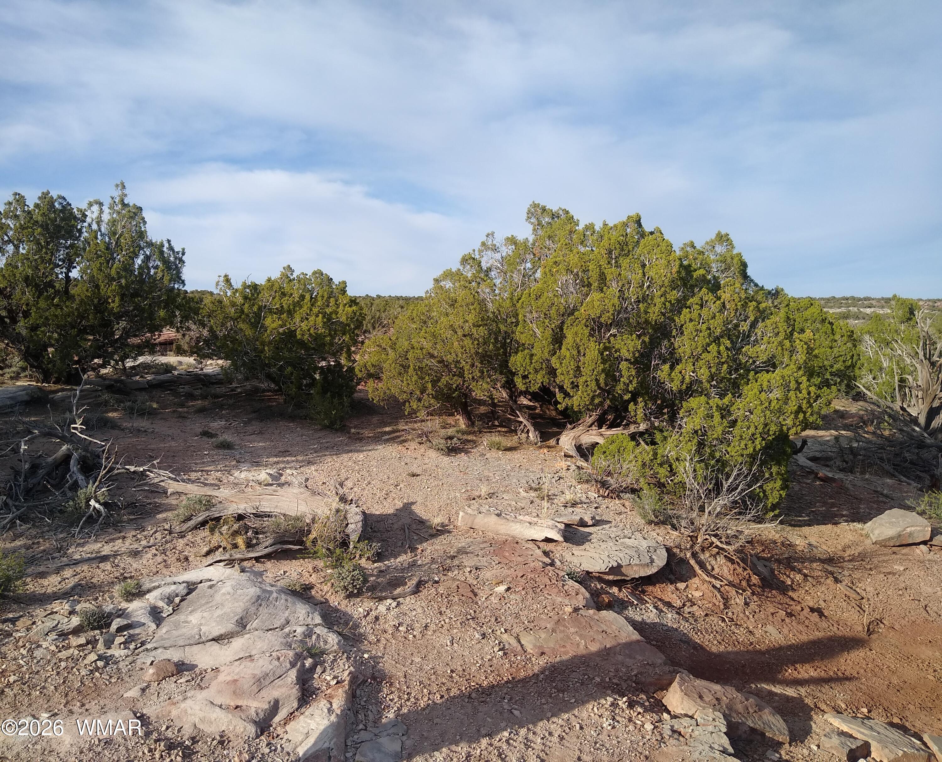8938 Buffalo Ridge Lane, White Mountain Lake, AZ 85912 — Photo 1 of 6