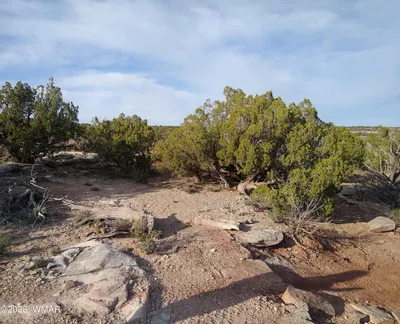 8938 Buffalo Ridge Lane, White Mountain Lake, AZ 85912