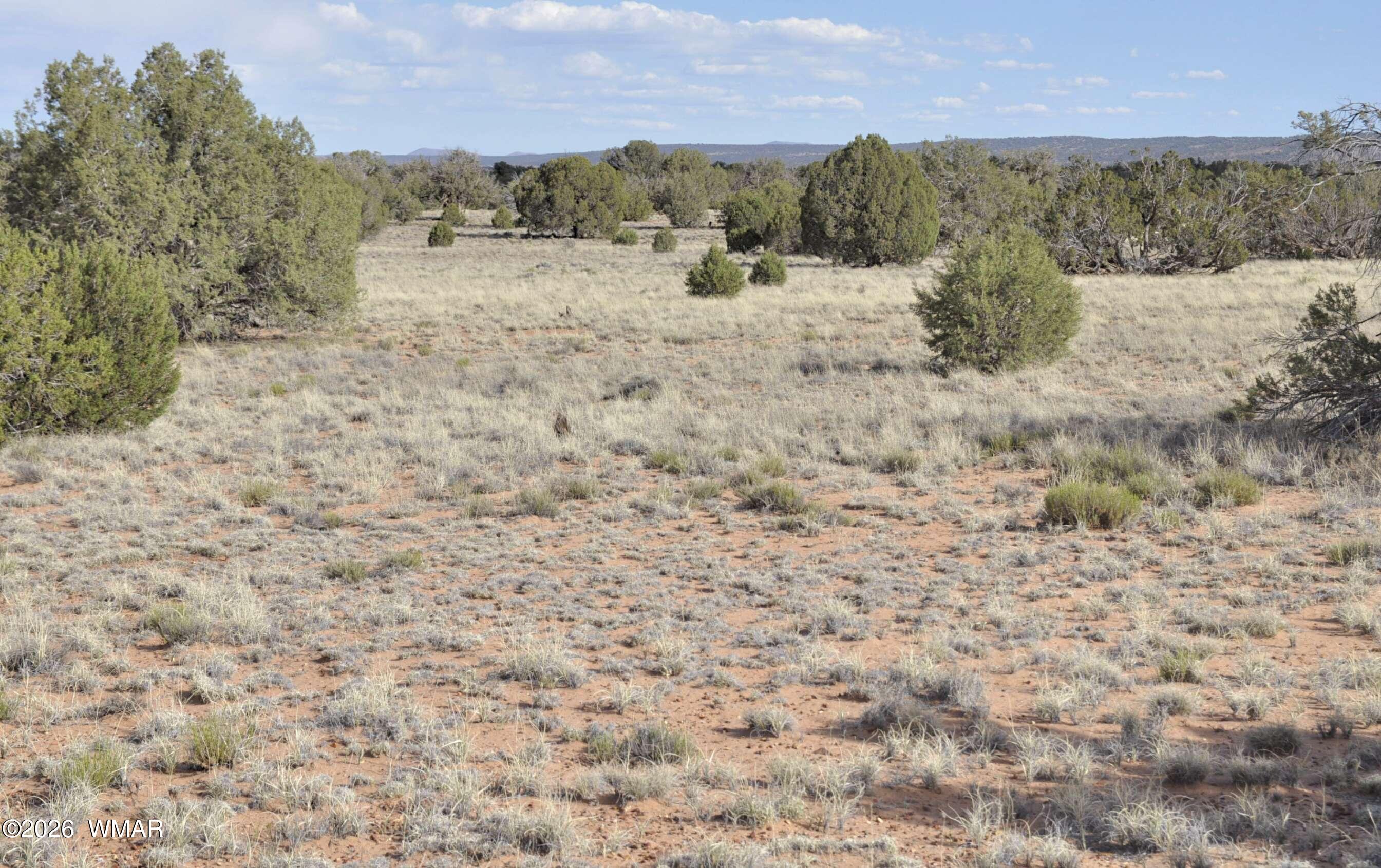 176 CR N5549, Concho, AZ 85924 — Photo 1 of 11