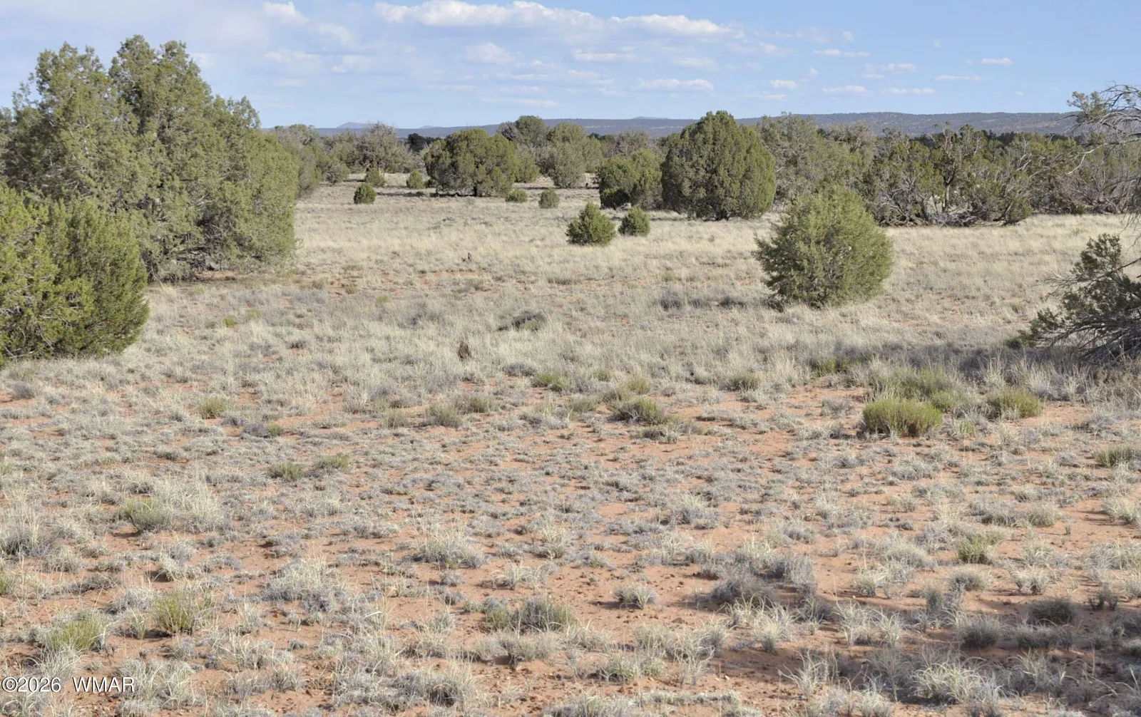 176 CR N5549, Concho, AZ 85924 — Photo 1 of 11