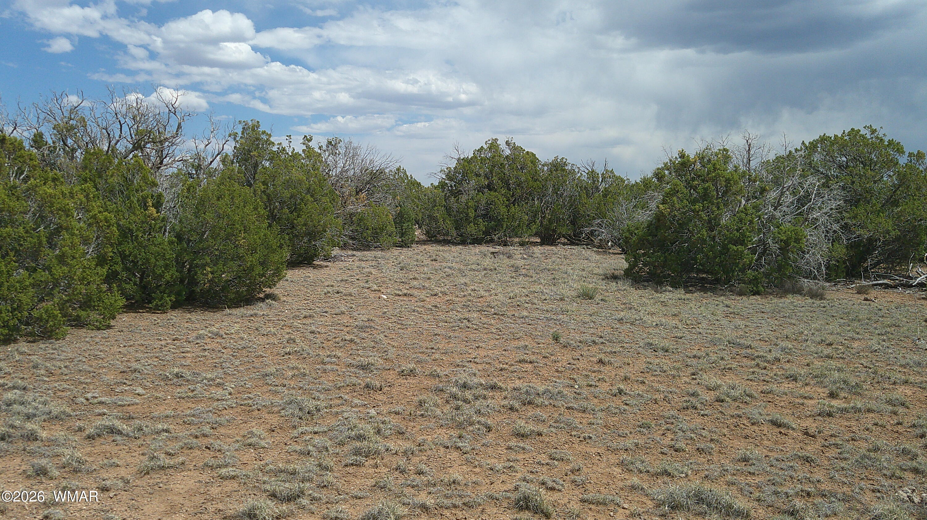 TBD Show Low Pines Lot 189, Concho, AZ 85924 — Photo 1 of 10
