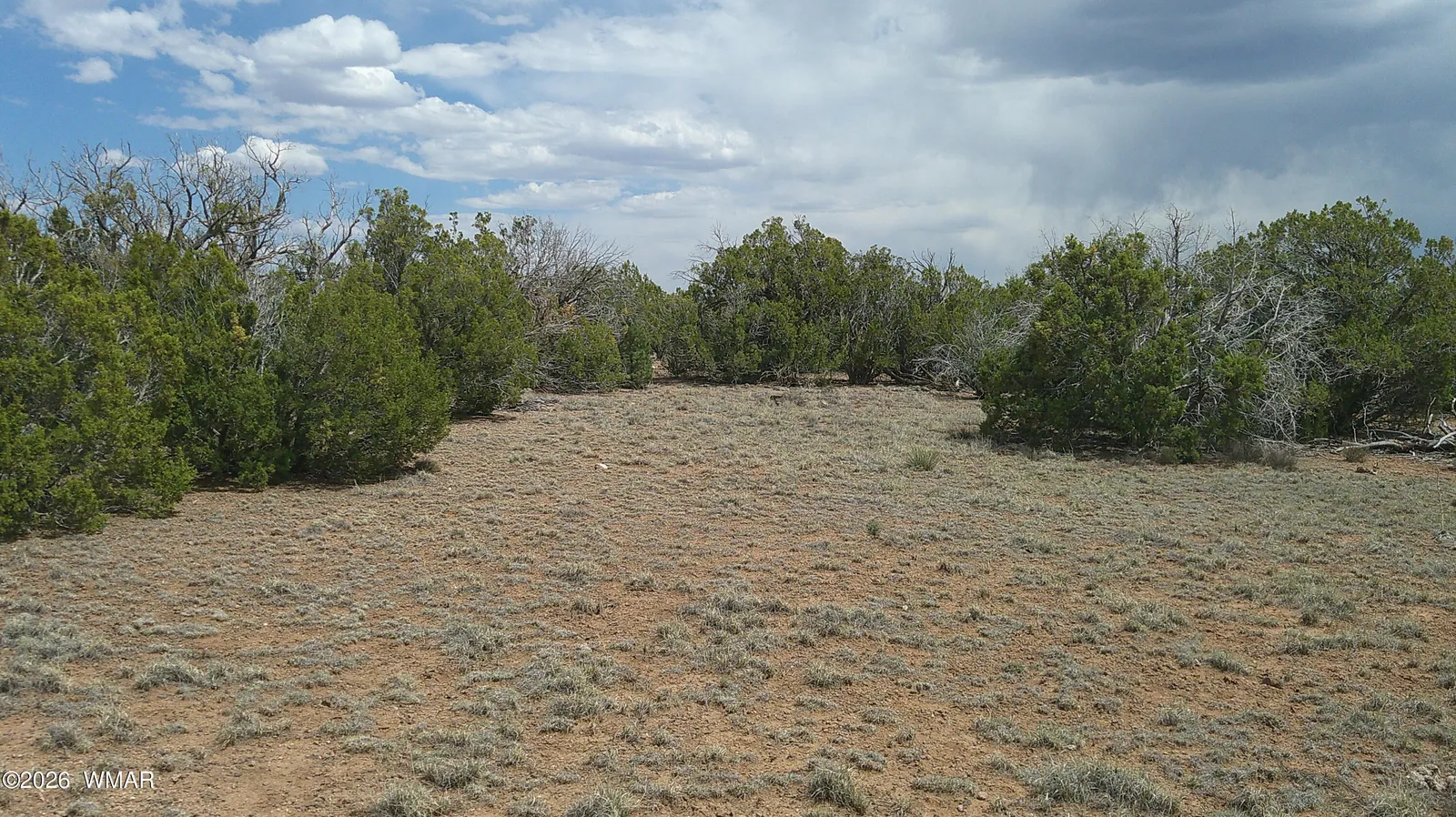 TBD Show Low Pines Lot 189, Concho, AZ 85924 — Photo 1 of 10