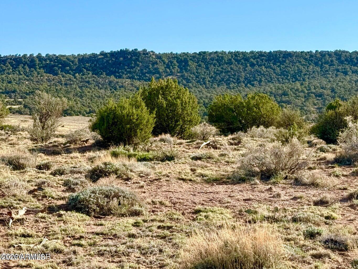 85 Co Rd 8500 Acres -, Concho, AZ 85924 — Photo 1 of 50