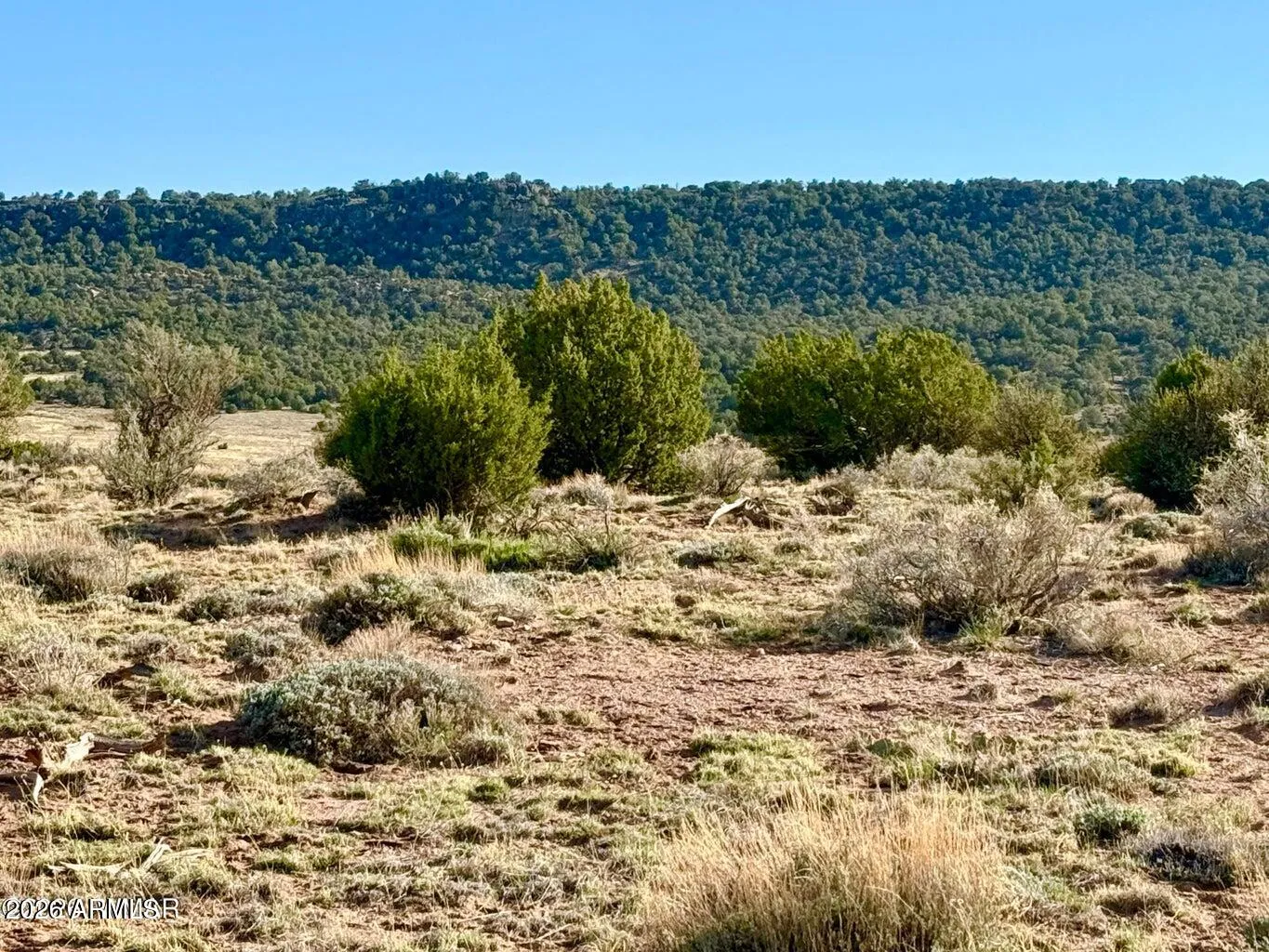 85 Co Rd 8500 Acres -, Concho, AZ 85924 — Photo 1 of 50