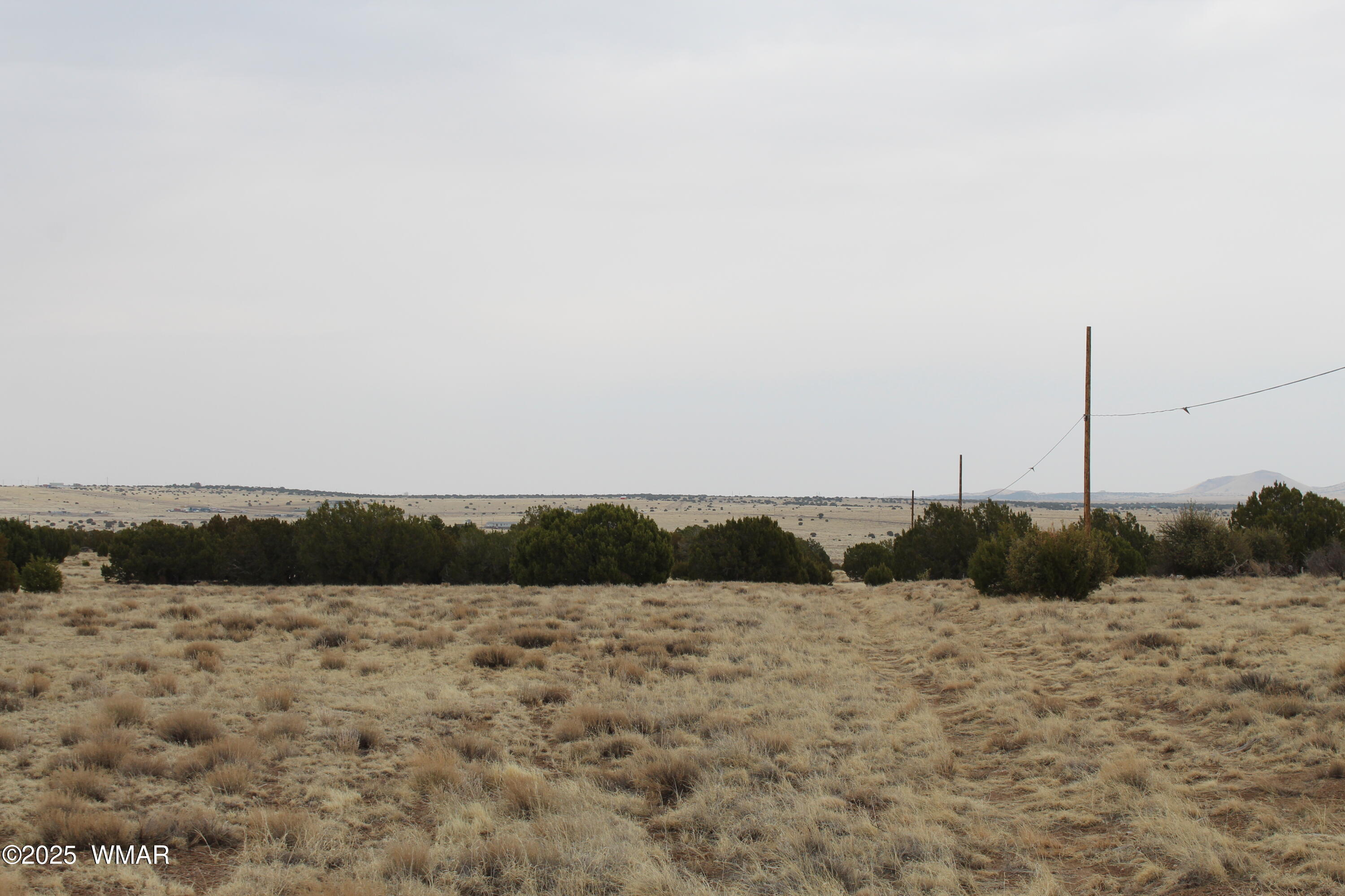 21 County Road, 23 County Road 8004, Concho, AZ 85924 — Photo 1 of 22