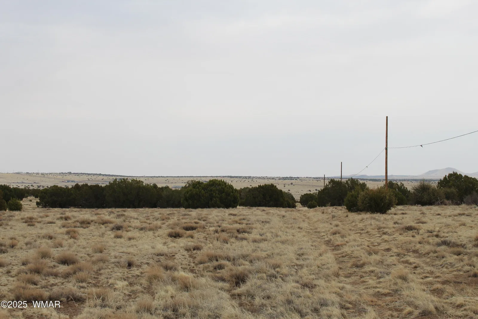 21 County Road, 23 County Road 8004, Concho, AZ 85924 — Photo 1 of 22
